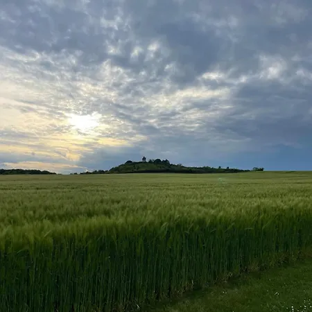 Quiet&green Estate Saint-Martial-de-Mirambeau