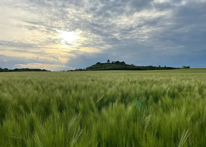 Quiet And Estate * Saint-Martial-de-Mirambeau