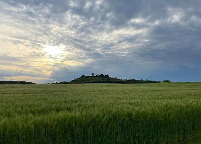 Quiet And Estate Saint-Martial-de-Mirambeau